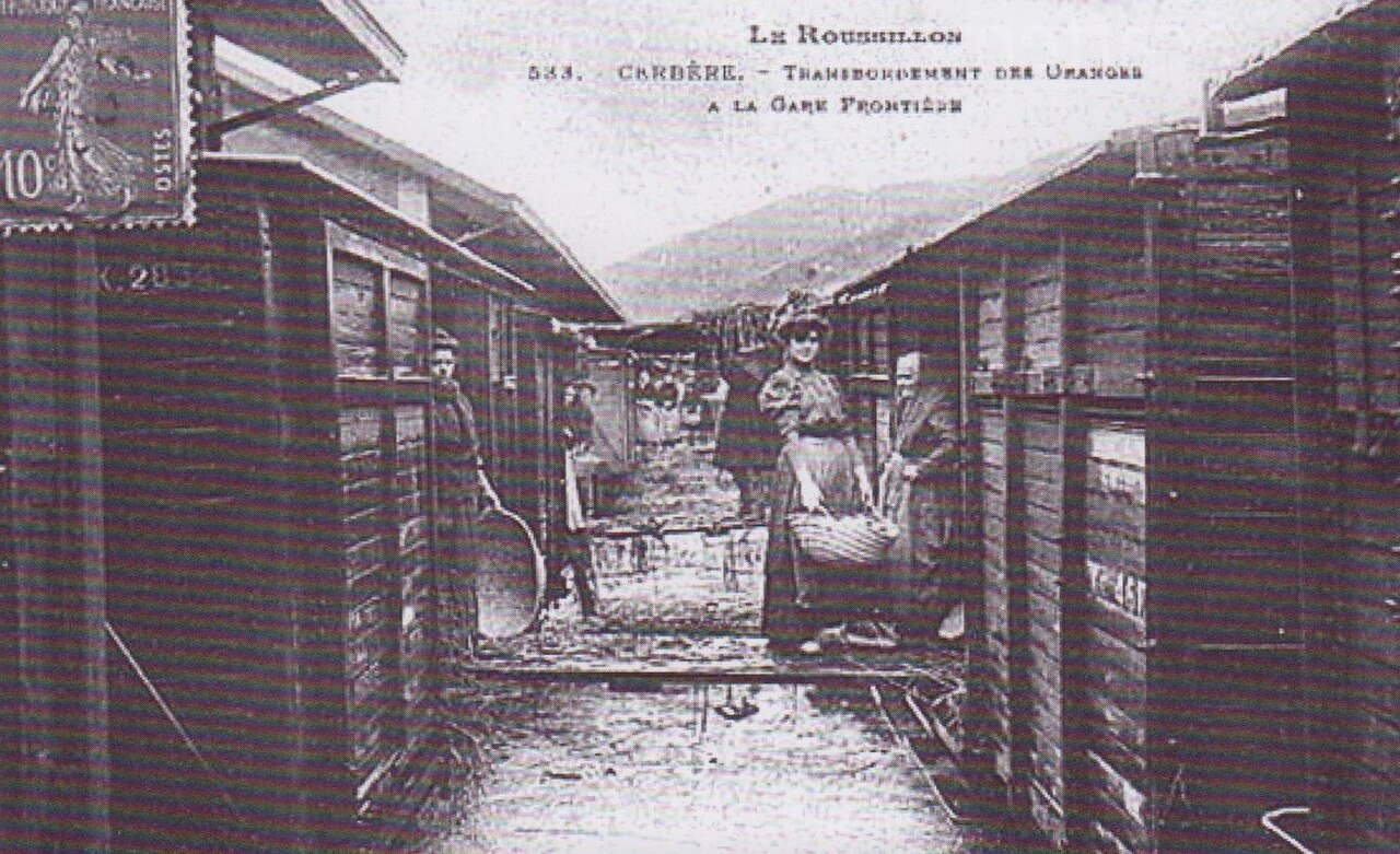 Carte postale historique : transbordement manuel des oranges en gare de Cerbère au début du XXe siècle.
