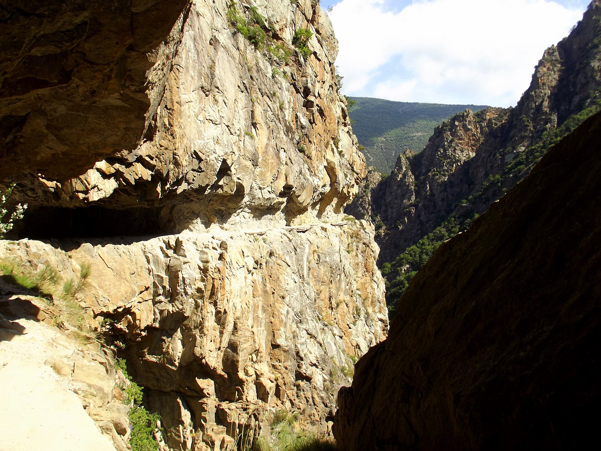Torrent et parois des gorges de la Carança