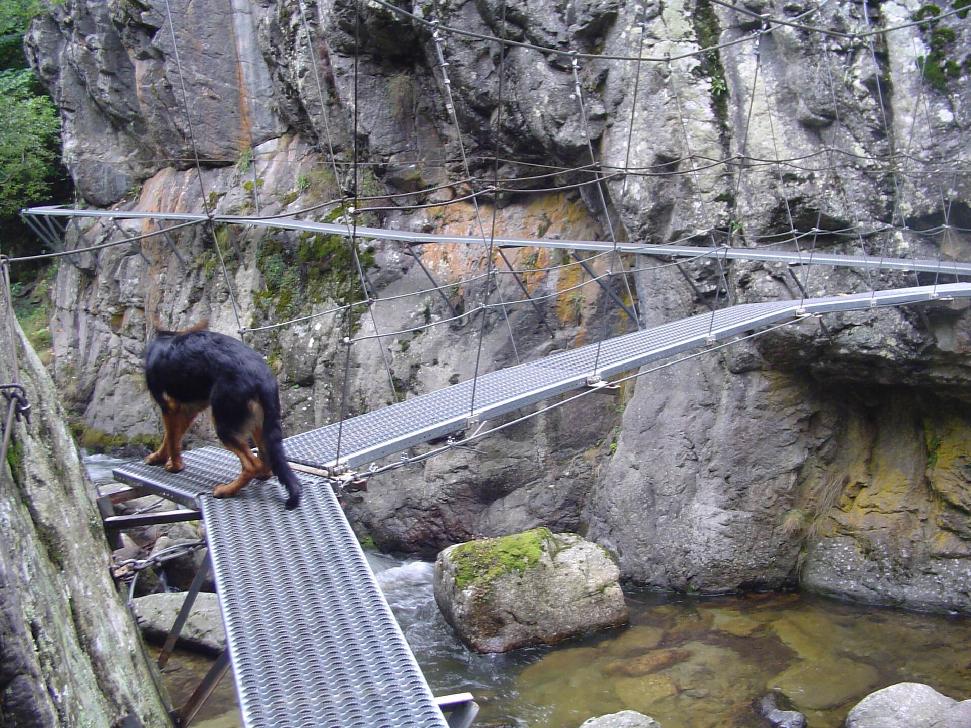 Passerelles métalliques des gorges de Carança