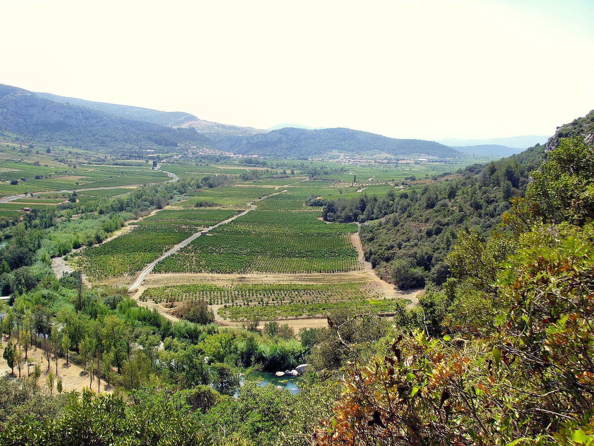 Vue vers le Verdouble depuis la Caune de l'Arago