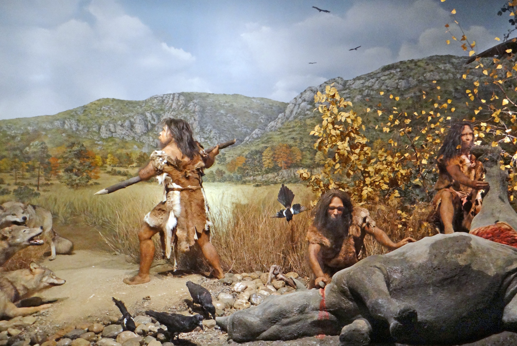 Diorama du Musée de Préhistoire représentant une scène de chasse