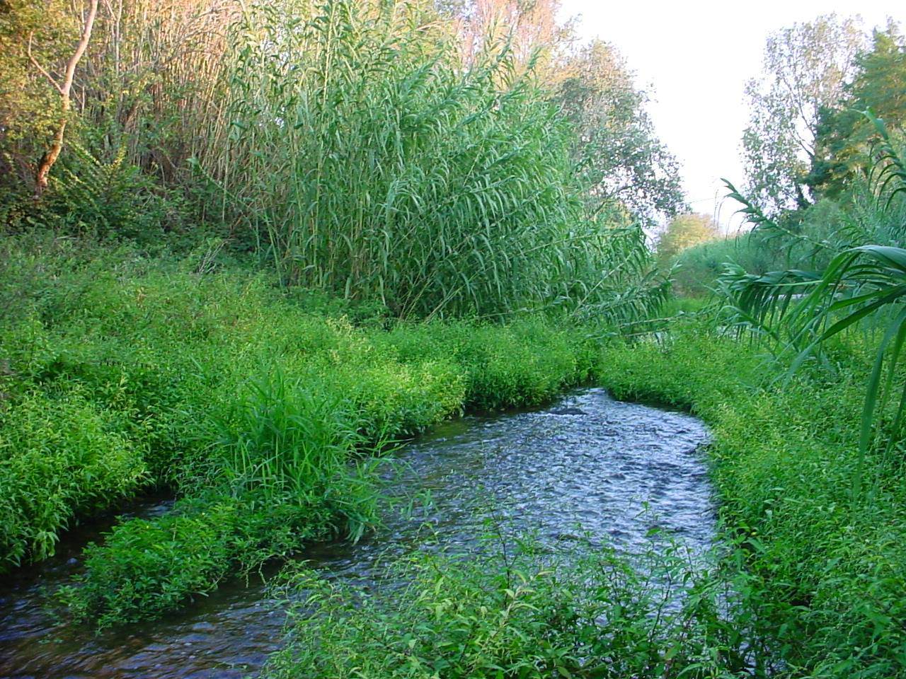Le Tanyari, cours d’eau voisin du village, illustration extérieure au plan d’eau · Wikimedia Commons