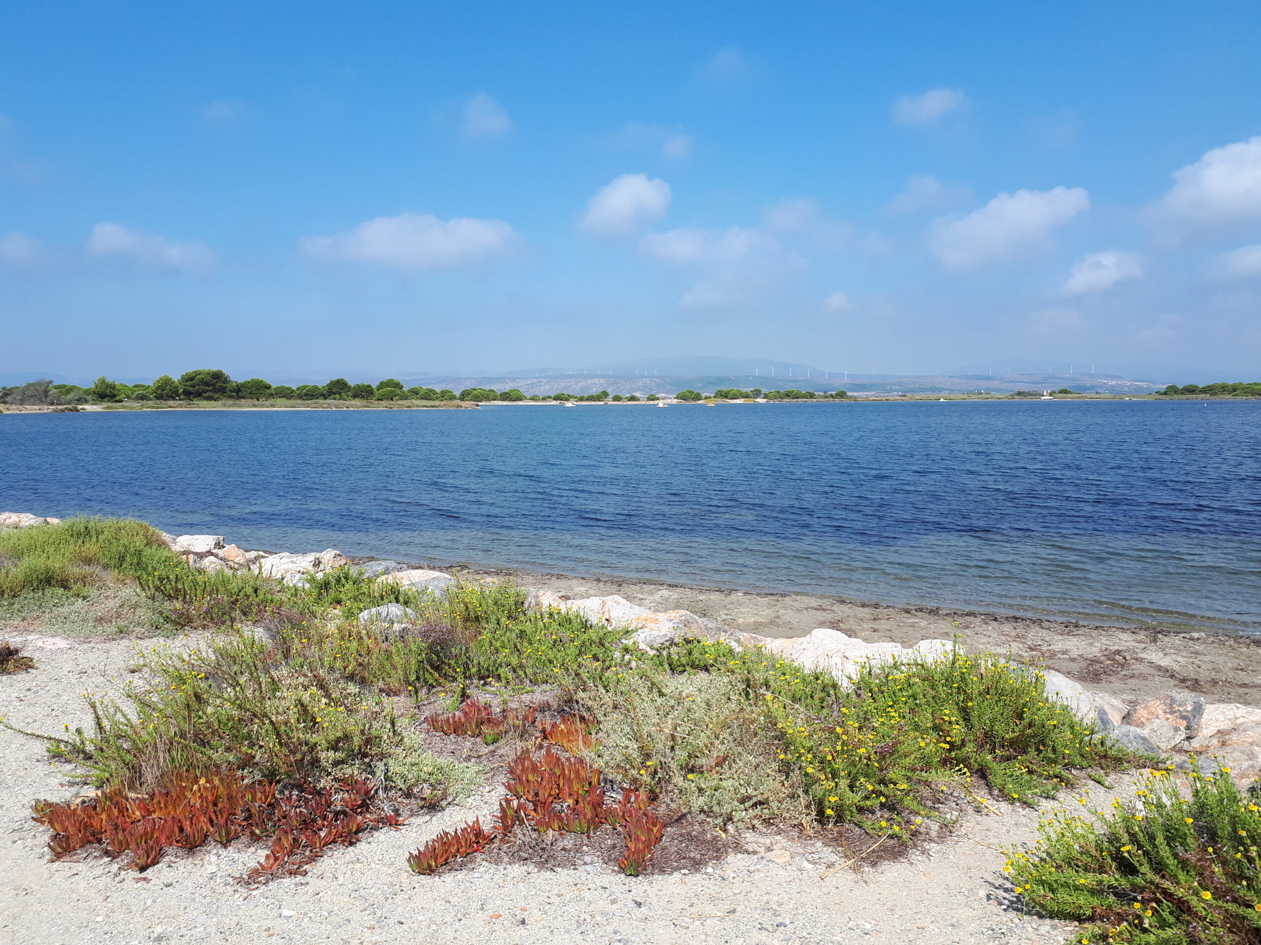 Vue de la lagune depuis Port-Leucate, contexte paysager voisin, hors sentier · Alan Mattingly, CC0