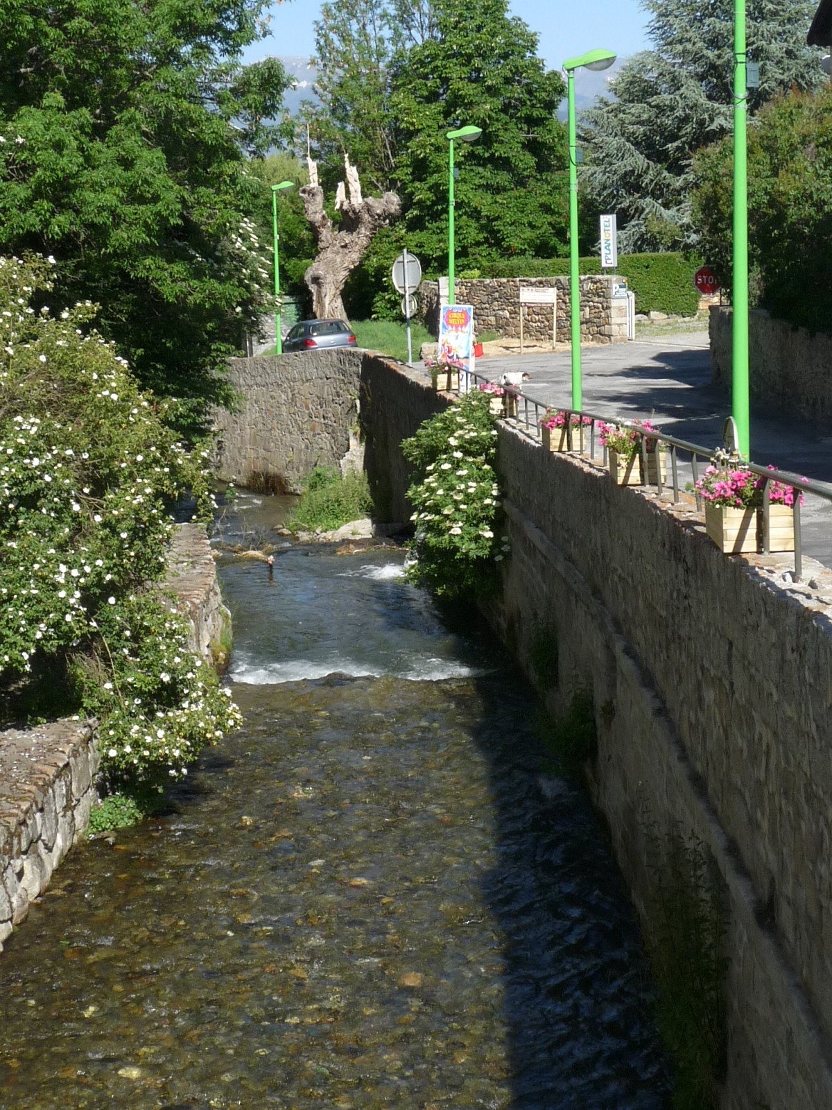 Le fleuve Sègre à Saillagouse