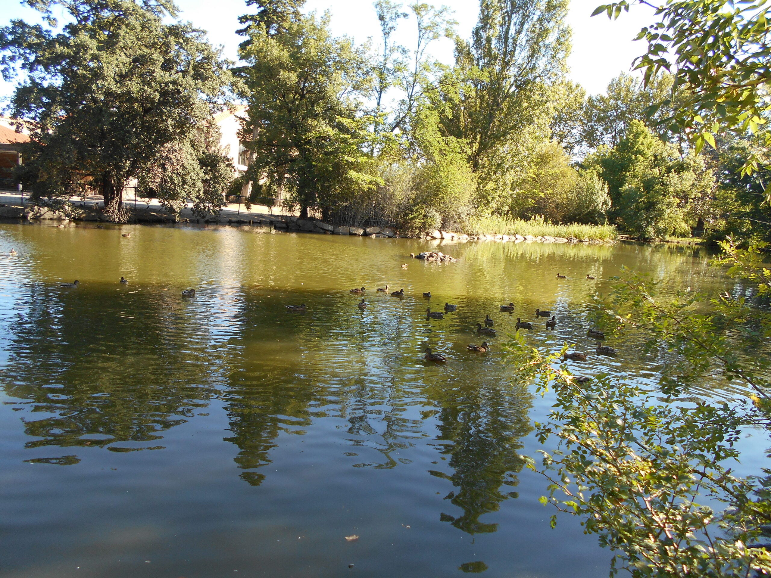 Parc de Clairfont, vue des allées et arbres · photographie Wikimedia Commons