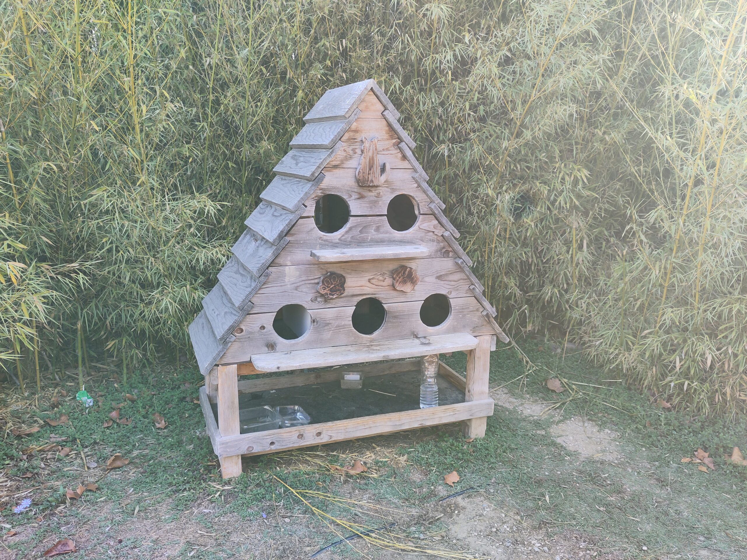 Abri pour chats présent dans le parc, photo 2026 · LySioS-wkp, CC BY-SA 4.0