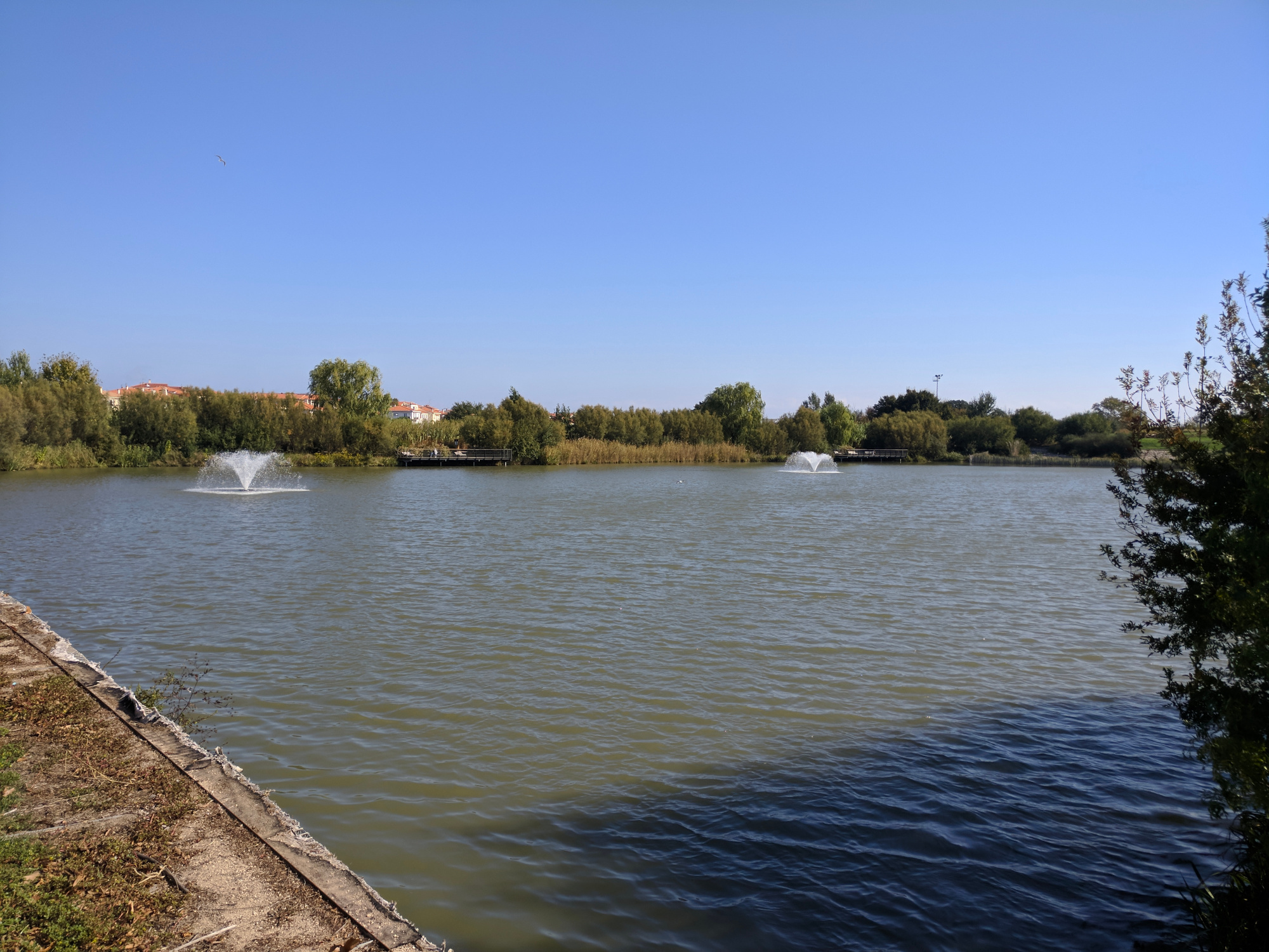 Bassin du parc Sant Vicens, photographie de 2017 · licence libre Wikimedia Commons