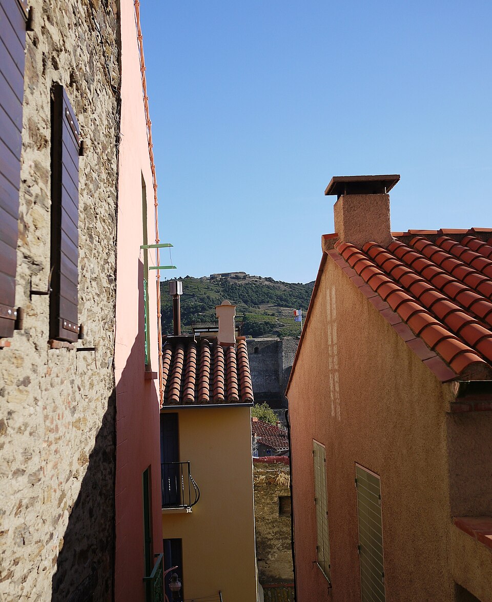 Les façades et les toits de la rue Saint-Jean, dans le Mouré, avec le fort Dugommier au loin