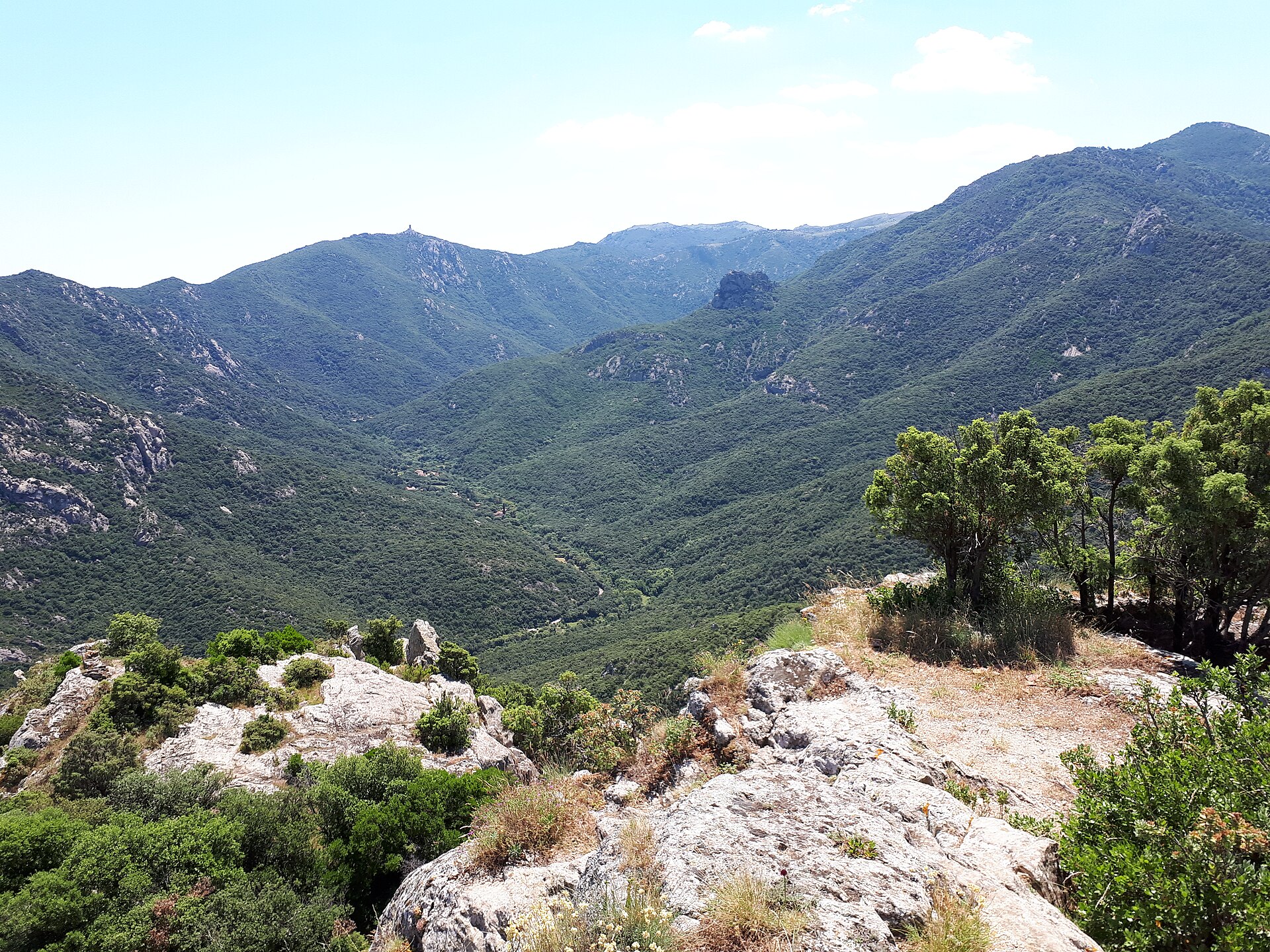 La tour de la Massane et les Albères vues depuis Ultrera