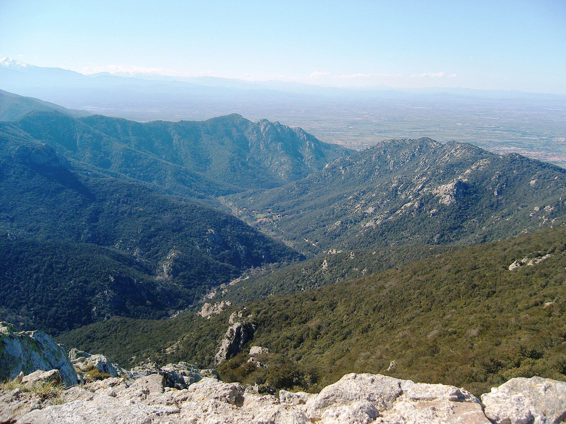 La vallée de la Massane vue de la tour