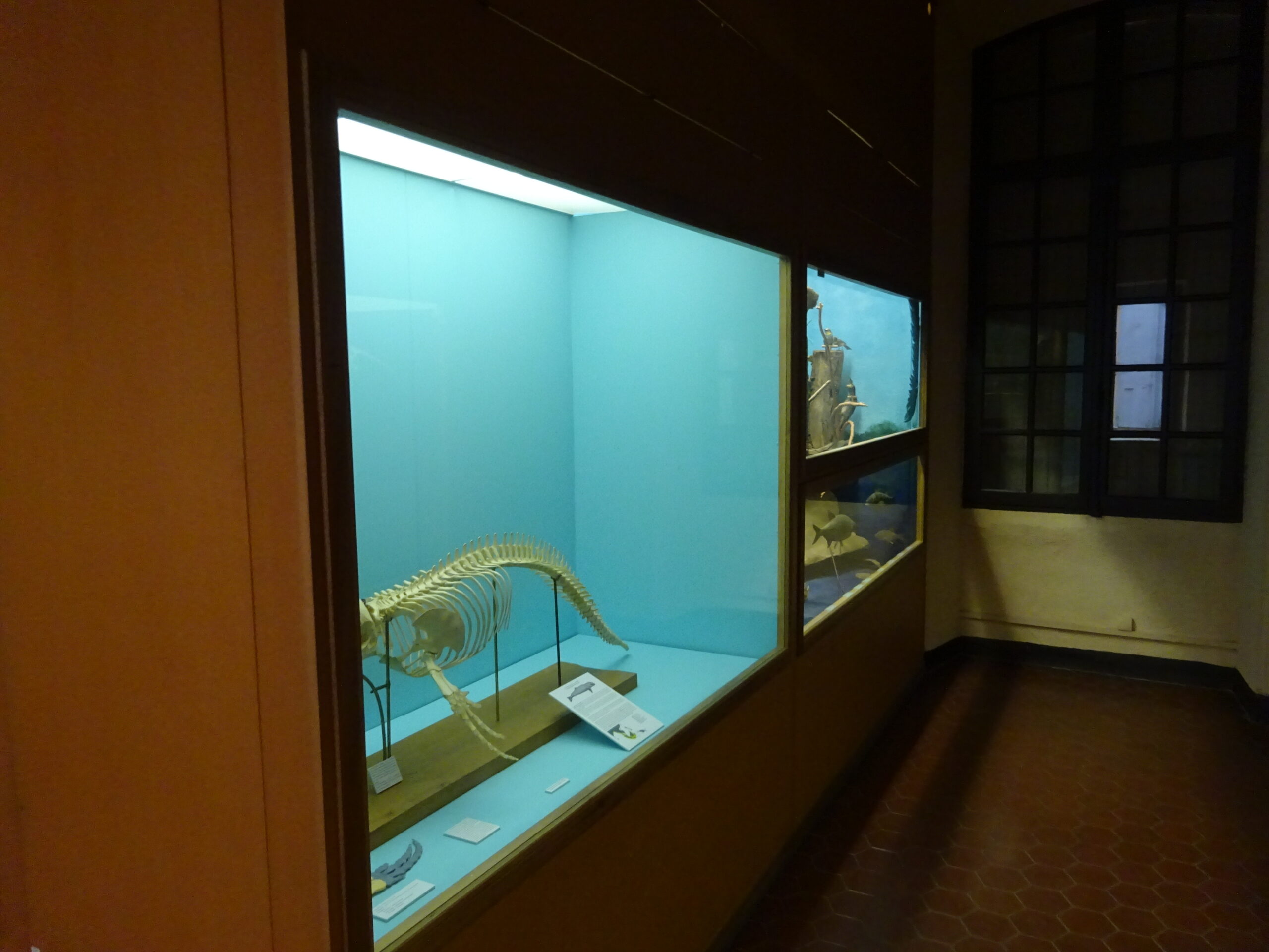 Muséum d’histoire naturelle · Perpignan