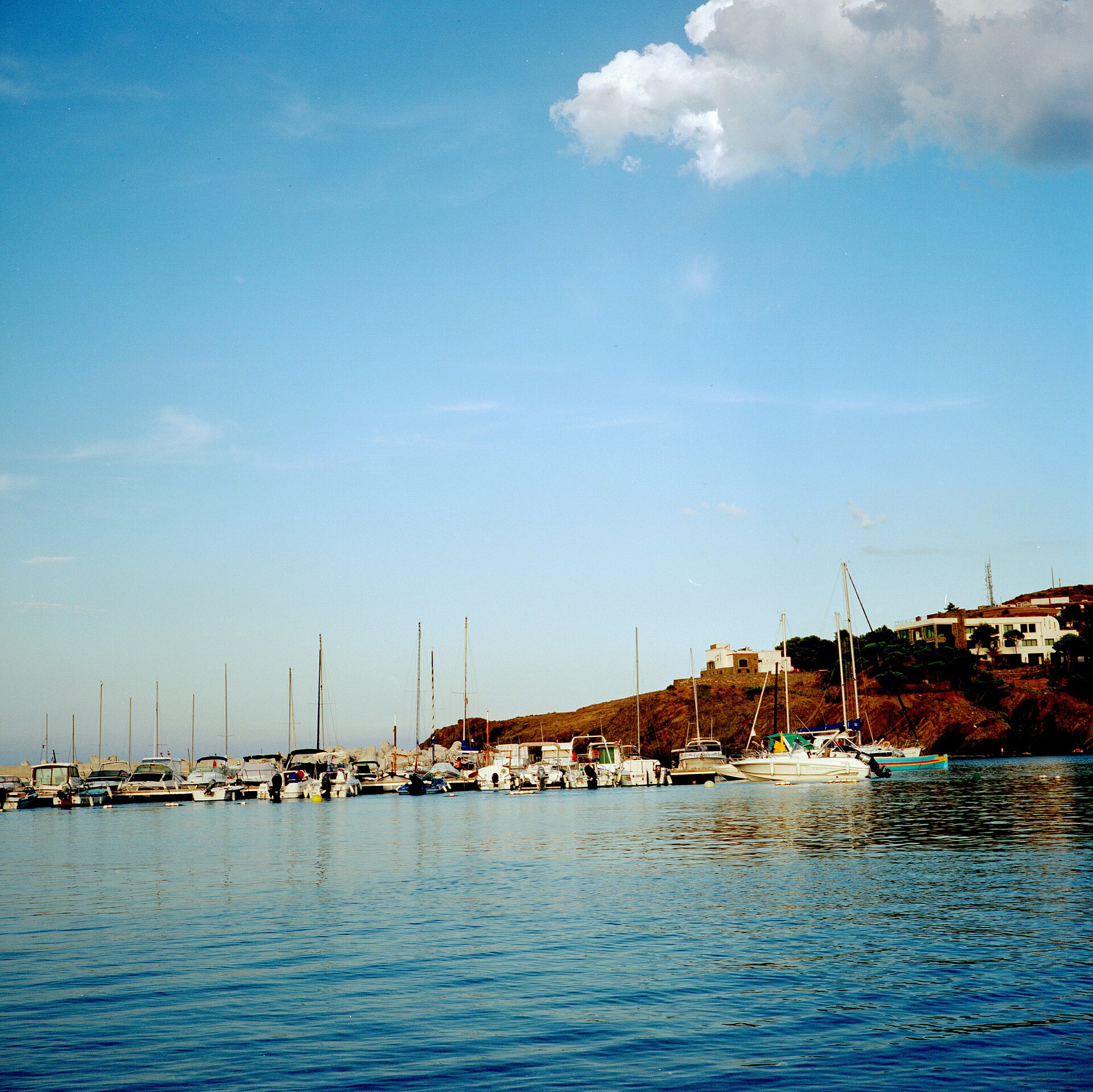 Port de Cerbère au pied des collines