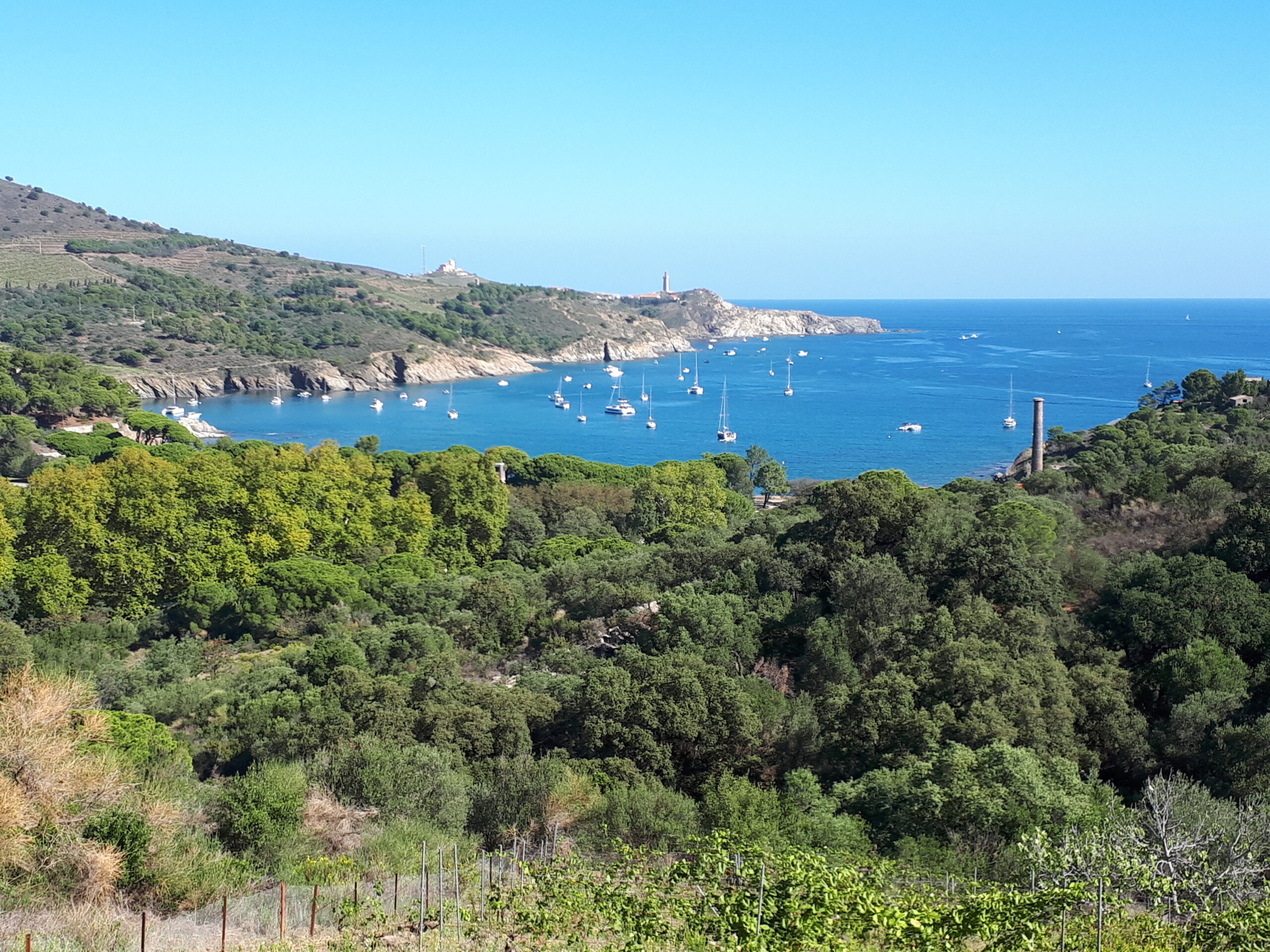 L’anse de Paulilles et le cap Béar à l’horizon